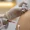 B12 shots